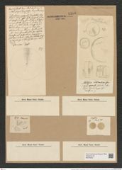 Coscinodiscus nodulifer var. apiculatus Rattr. (de-Toni-Nr.: Genus 202, Species 4981) Zeichnungen Sammlung Grunow Nr. 8596 (NHMW-BOT-W0378252)